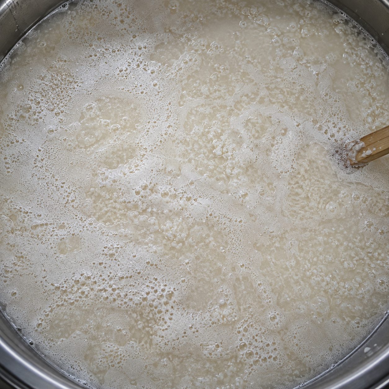 仕込みタンクの中で泡立つ醪